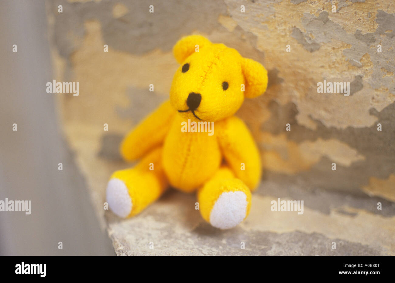 Small yellow teddy bear looking forlorn and sitting near the edge of a plastered flaking cream painted window alcove or seat Stock Photo