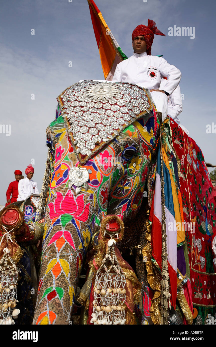 Elephant Indian Flag High Resolution Stock Photography and Images 