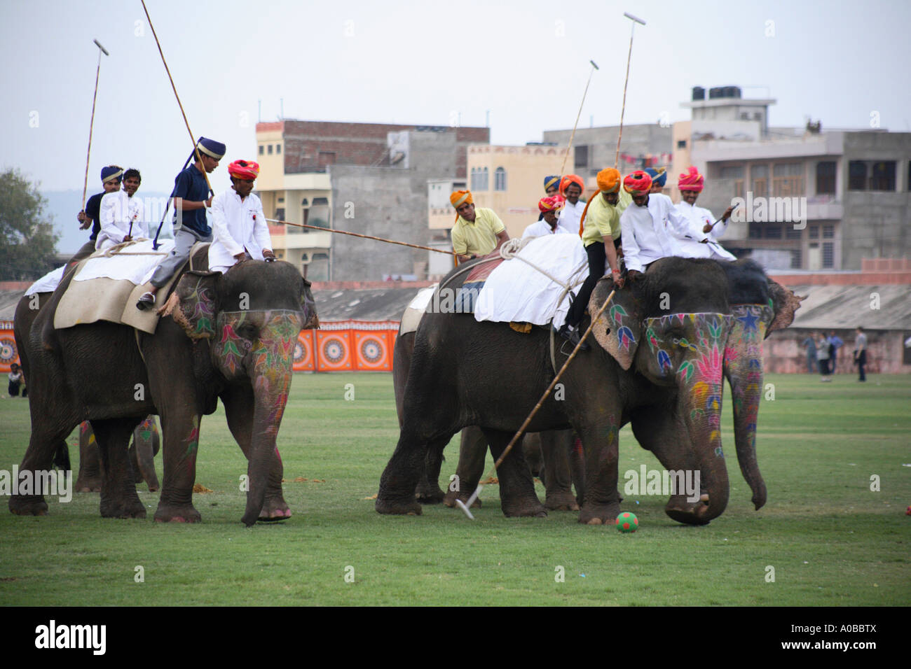 Elephant polo match being played in the stadium during the Elephant Festival in Jaipur