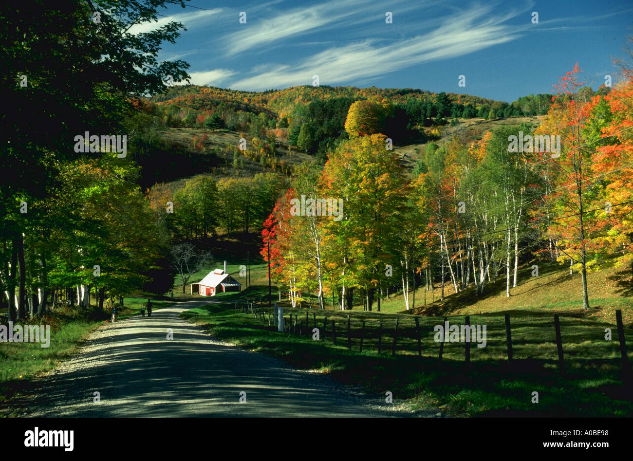 Country road fall foliage maple syrup house Woodstock Vermont Stock