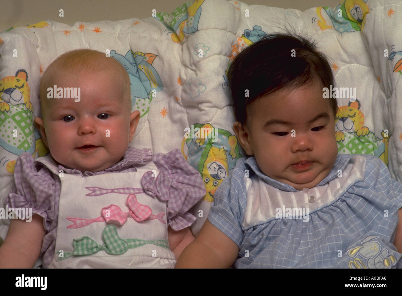 Two babies one Asian American and one Euro American released DA30536 Stock Photo