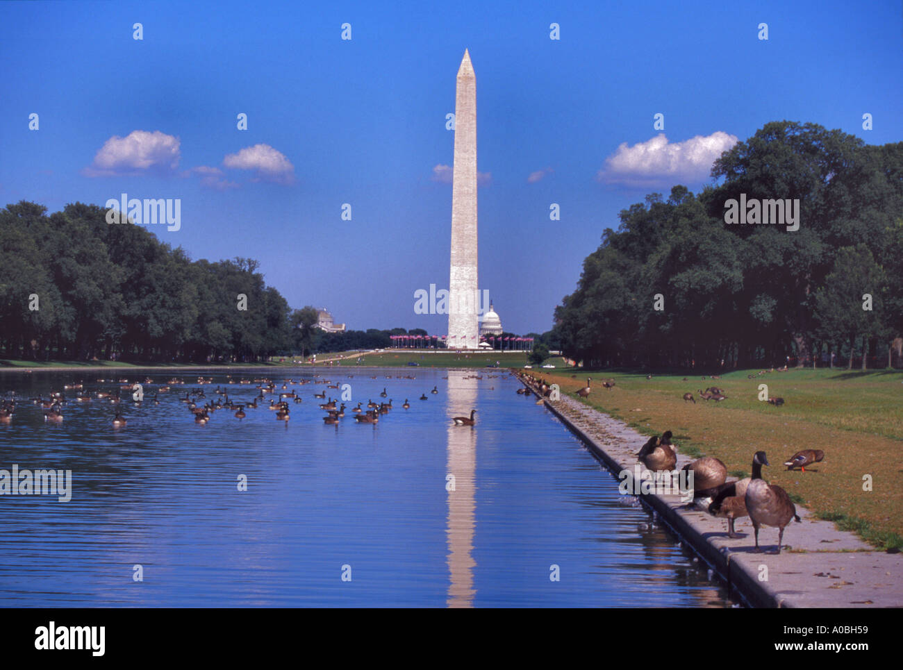 Washington Monument in Washington D C  Stock Photo