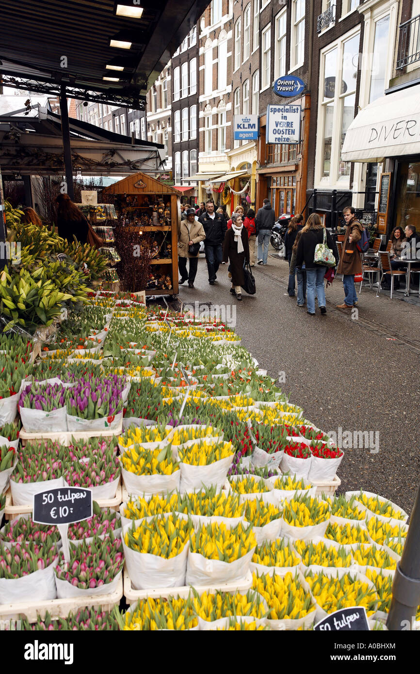 flower-vendor-floating-flower-market-amsterdam-netherlands-stock-photo