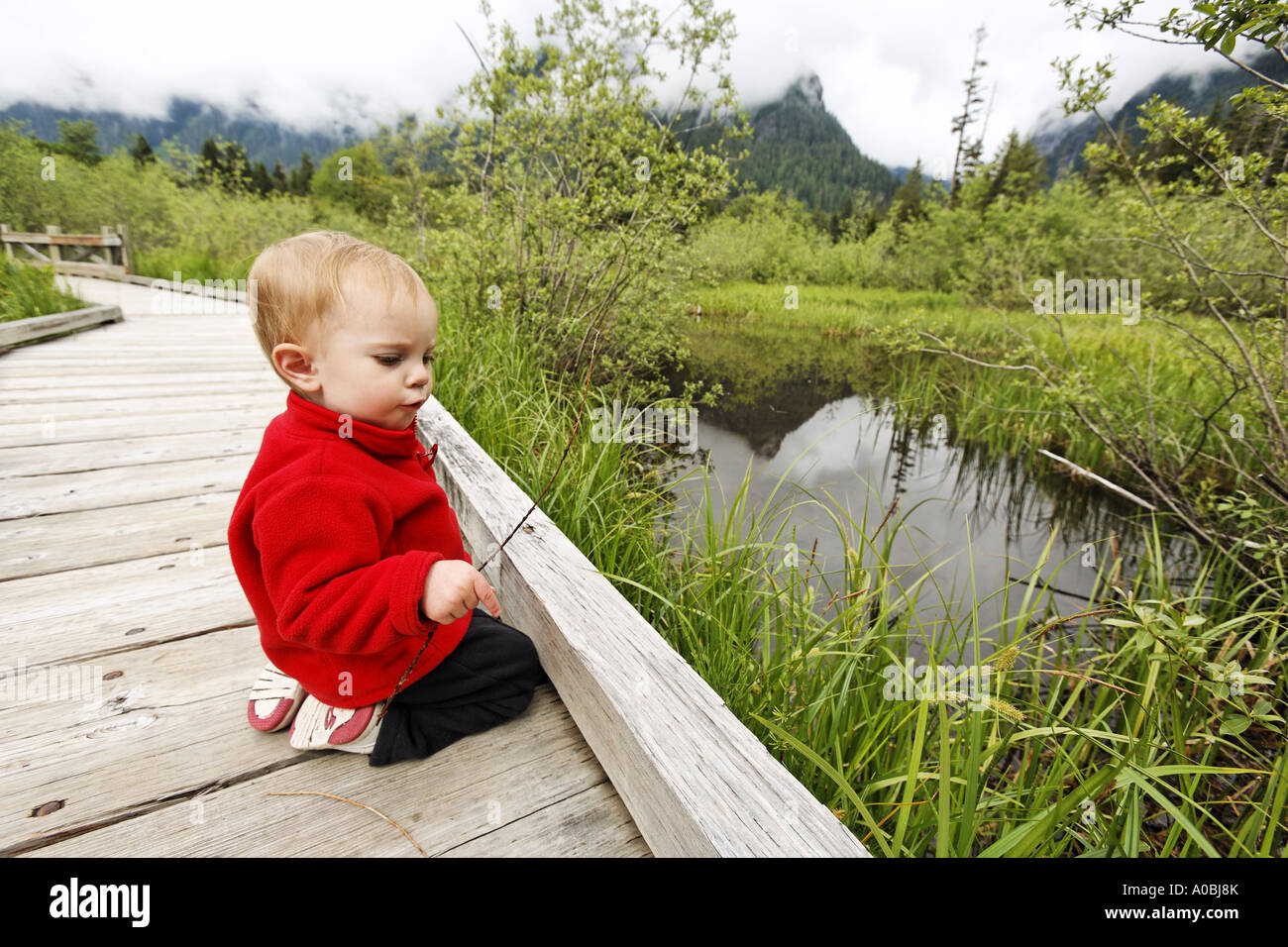 Young girl sitting on edge of wooden boardwalk trail with twigs Big Four Ice Caves Trail Cascade Mountains Washington USA Stock Photo
