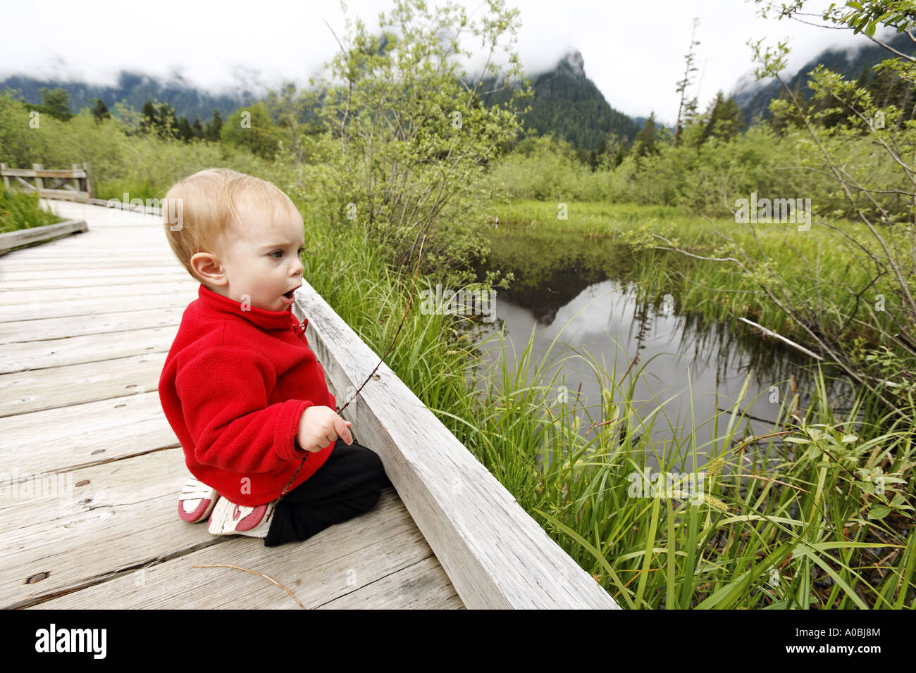 Young girl sitting on wooden boardwalk trail with twigs Big Four Ice Caves Trail Cascade Mountains Washington USA Stock Photo