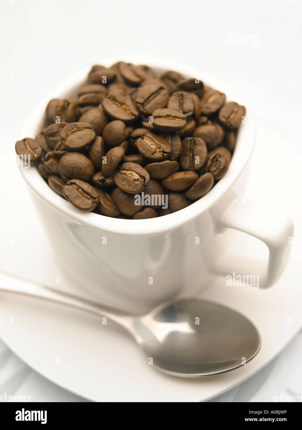 roasted coffee beans in white cafe cup Stock Photo