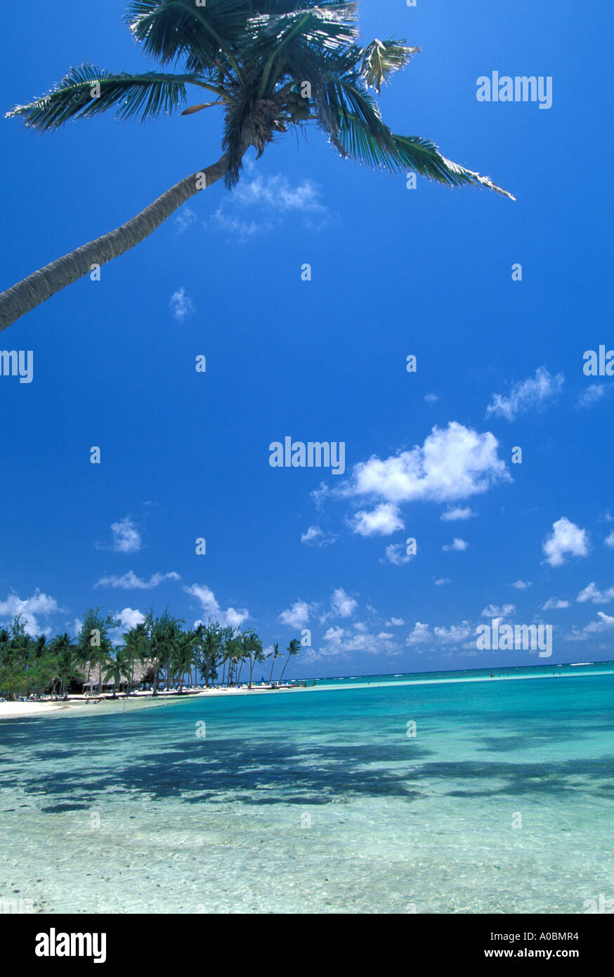 Dominican Republic Punta Cana beach Stock Photo - Alamy