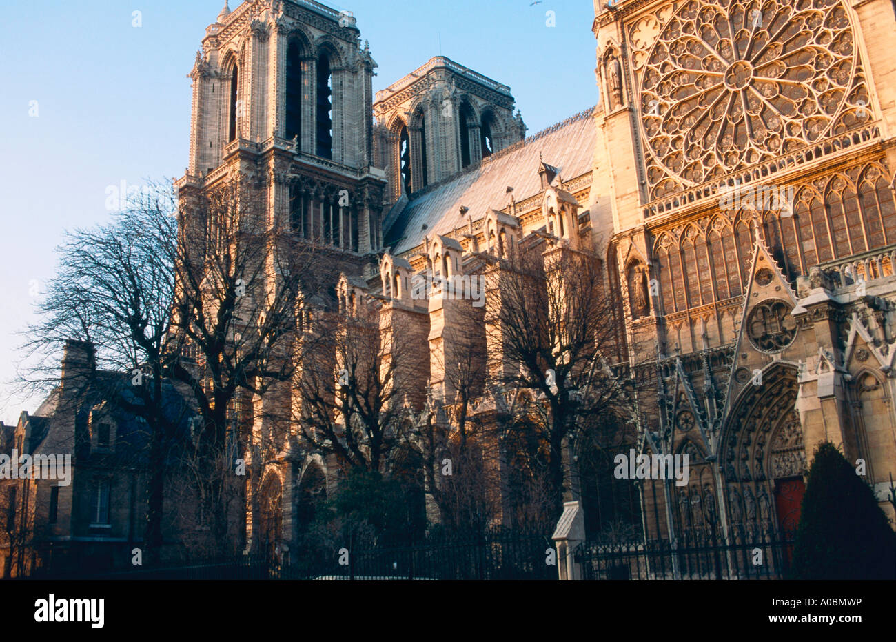 Notre Dame Ile de la Cite Paris Frankreich Stock Photo