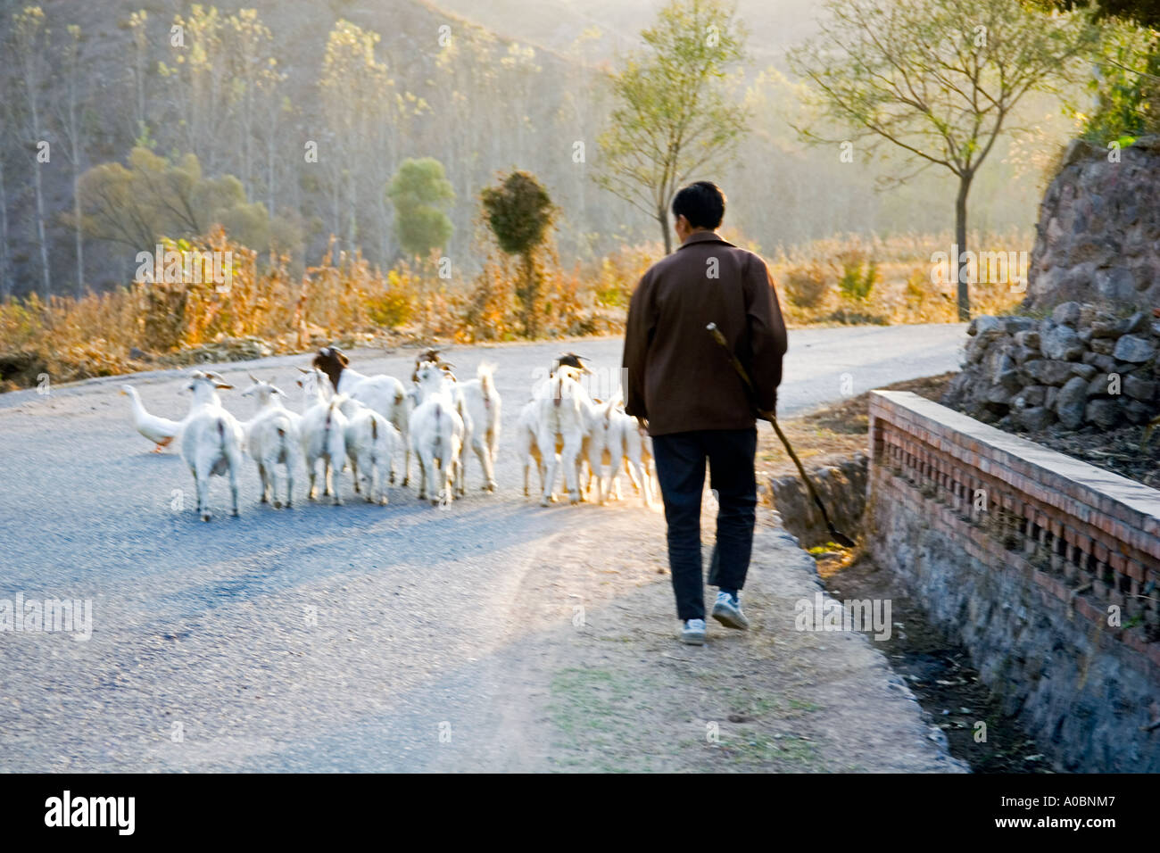 Rural northeastern china hi-res stock photography and images - Alamy