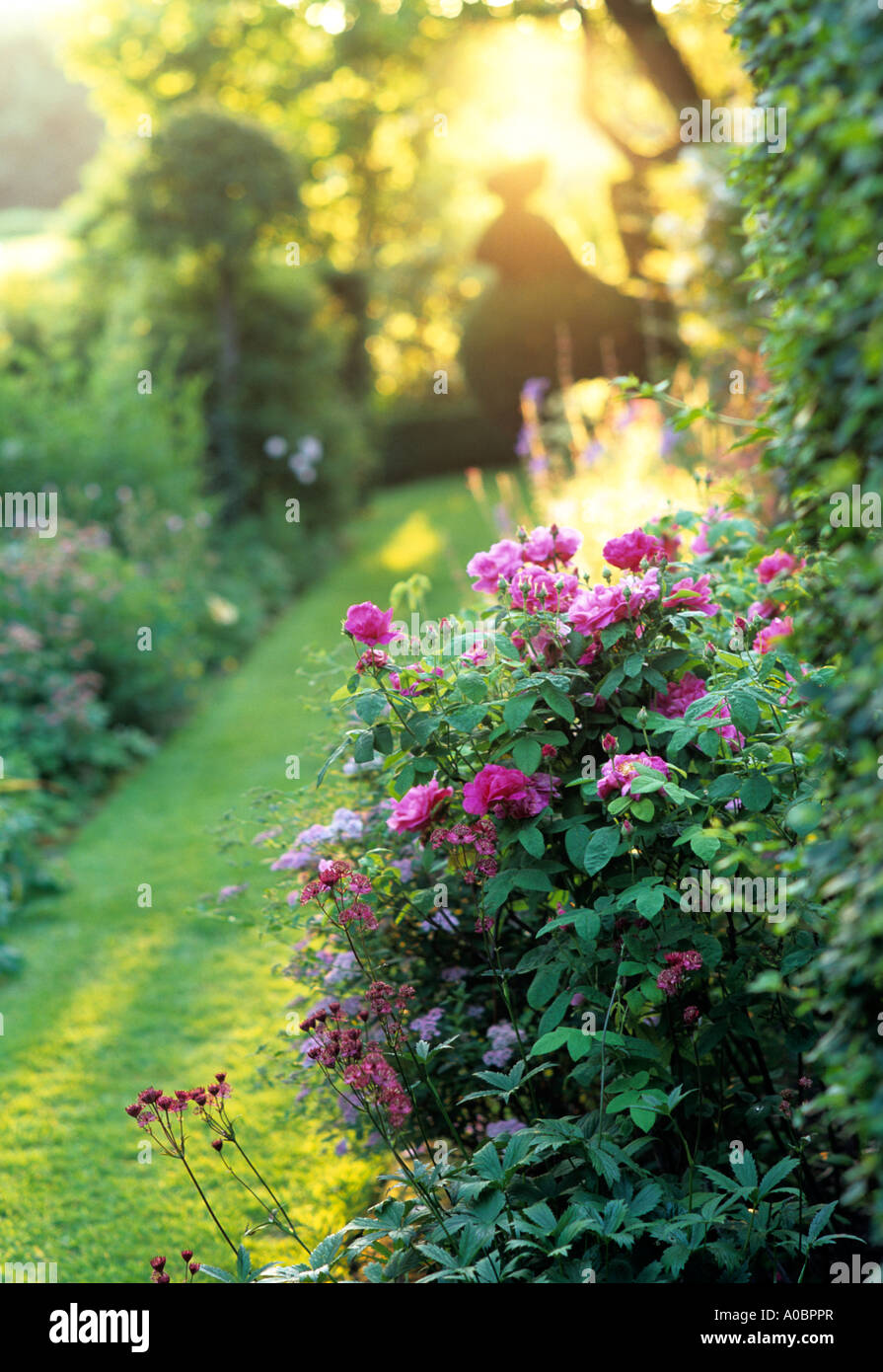 Garden path at sunset Stock Photo Alamy