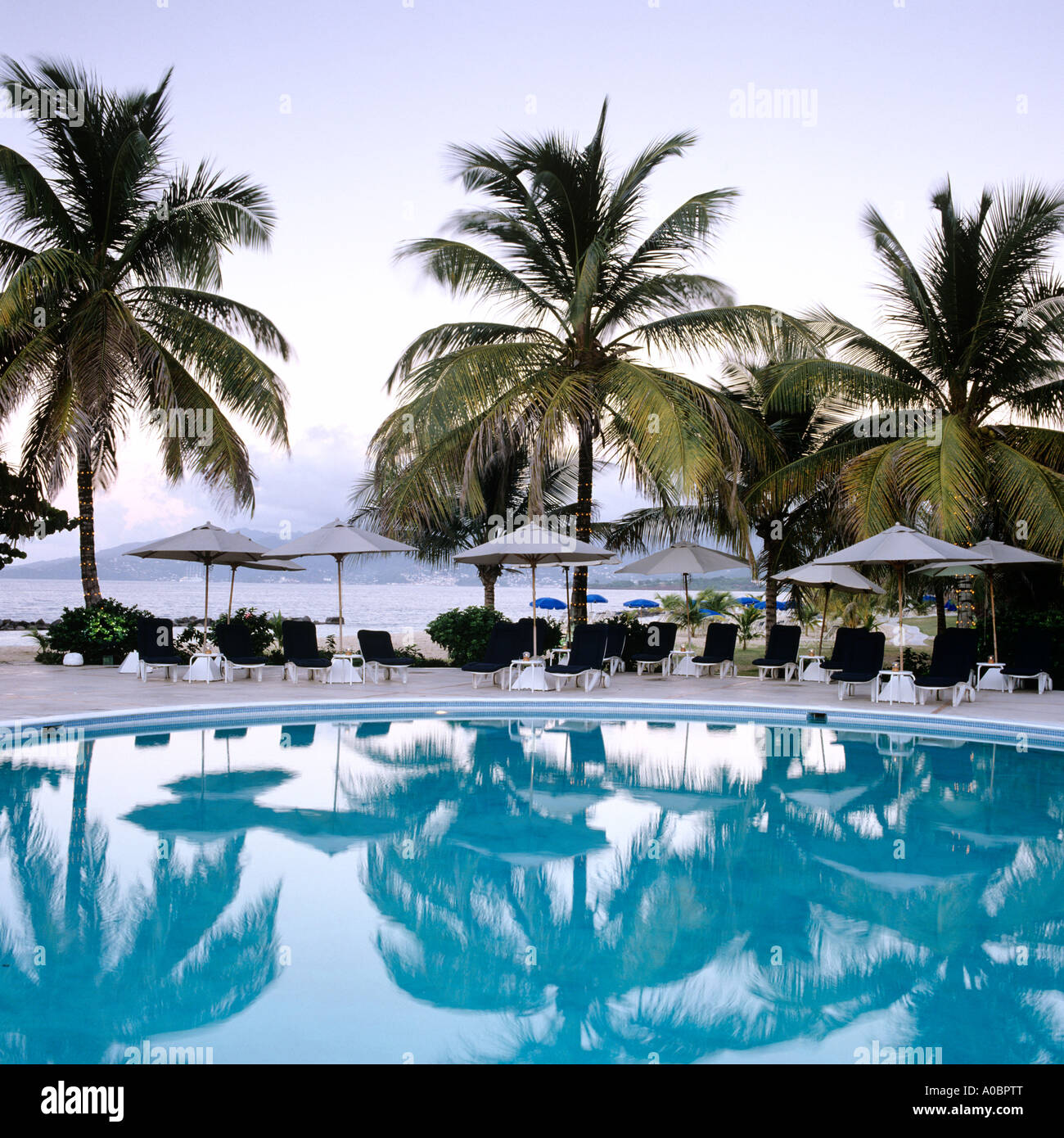Swimming pool and palm trees in a Caribbean resort Stock Photo