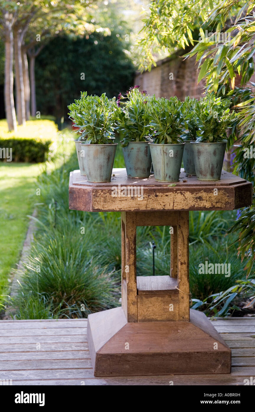 Metal pots of herbs on a wooden table in a garden Stock Photo