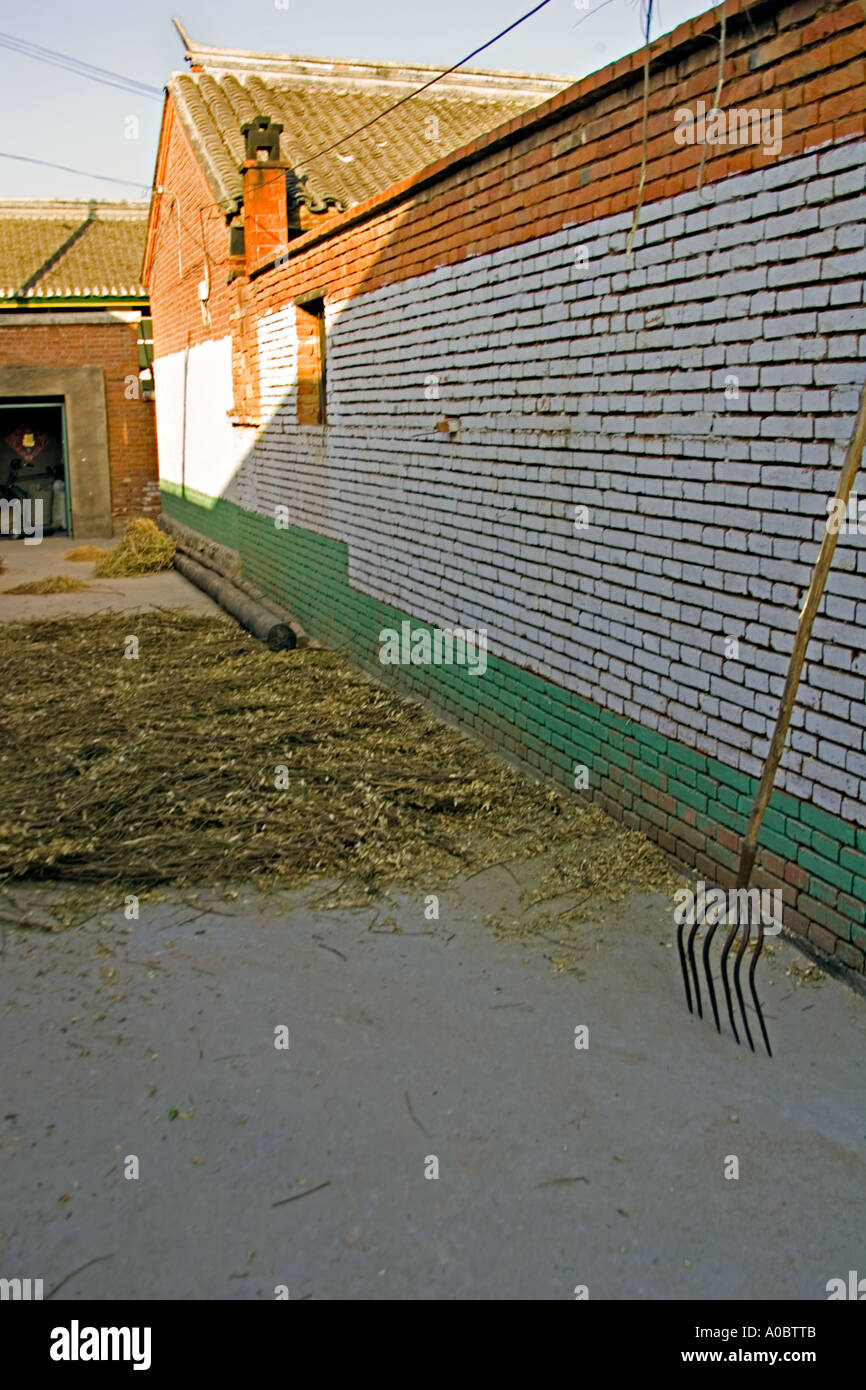 Pavement Drying Rice Pavement for drying grain hi-res stock photography and images - Alamy