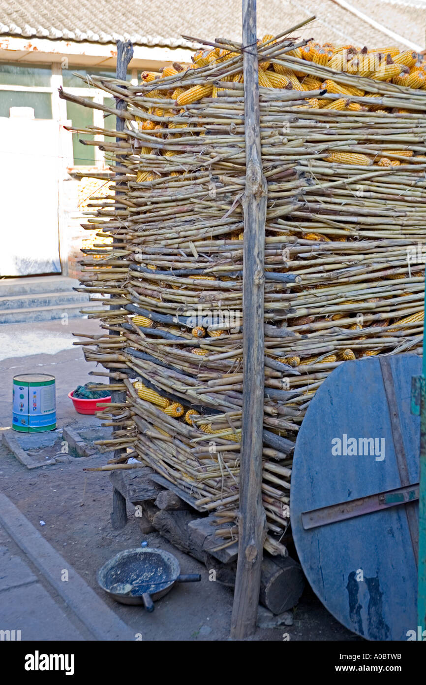China Simatai Bamboo Storage Rack Full Of Ears Of Dried Corn In The Courtyard Of A Farmhouse In The Rural Simatai Region Near Th China Simatai Bamboo Storage Rack Full Of Ears Of Dried Corn In The Courtyard Of A Farmhouse In The Rural Simatai Region Near Th