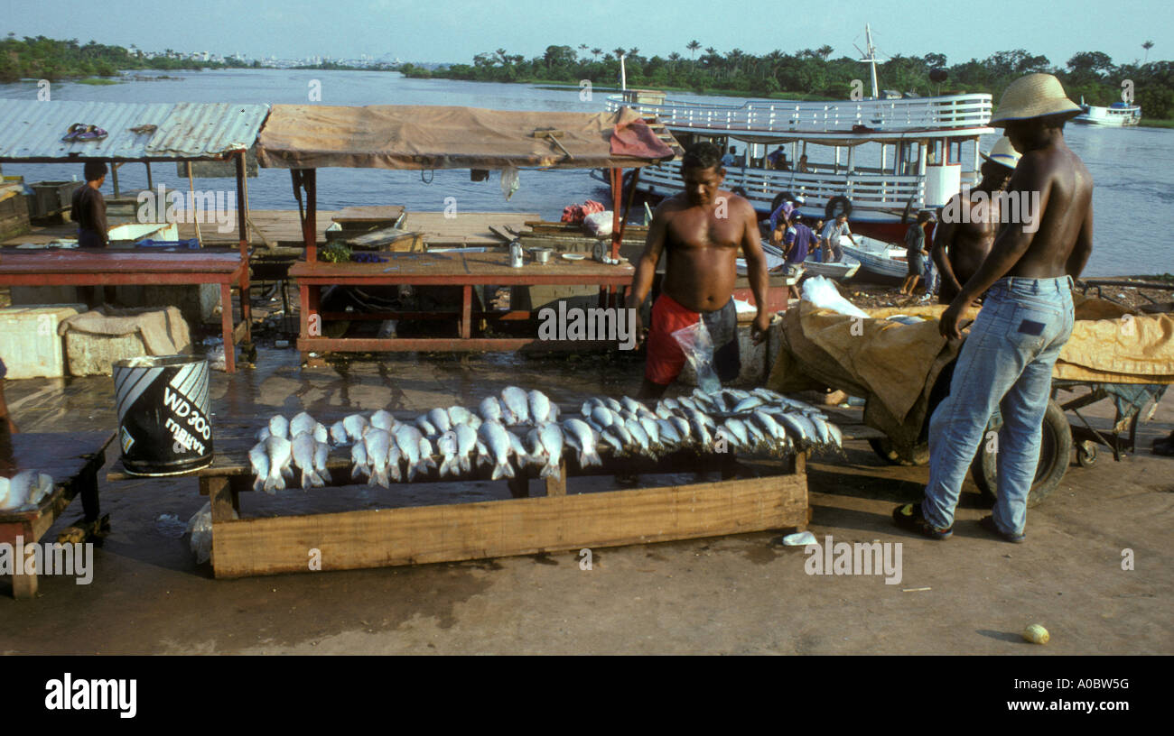Manacapuru - Amazonas - Brazil Riverside fish market Stock Photo