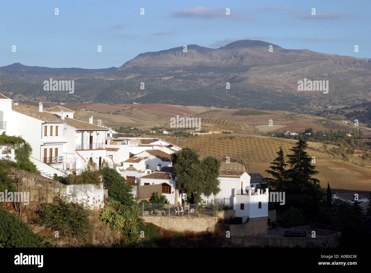 View from Puente Nuevo over river Tajo in the spanish Ronda at daytime, Ronda, Andalusia, Spain, Europe, EU Stock Photo
