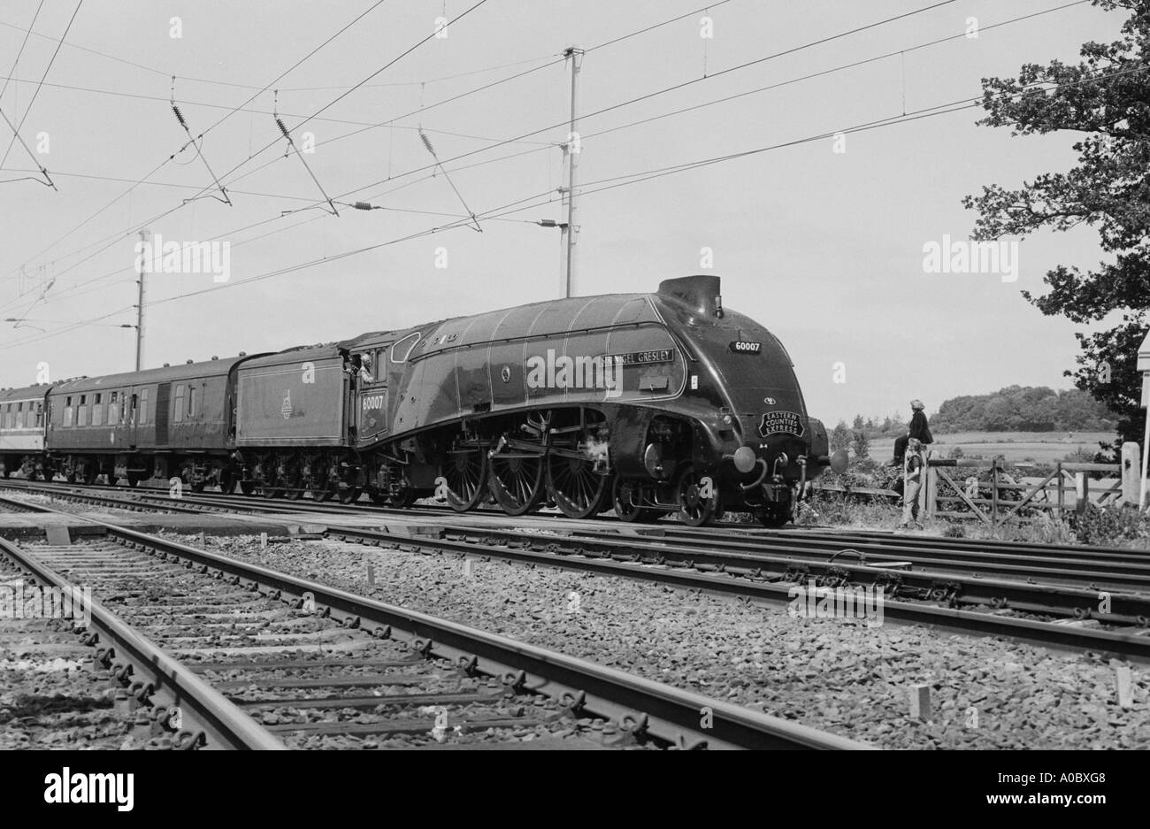 Mallard steam engine running through Cambridge Stock Photo