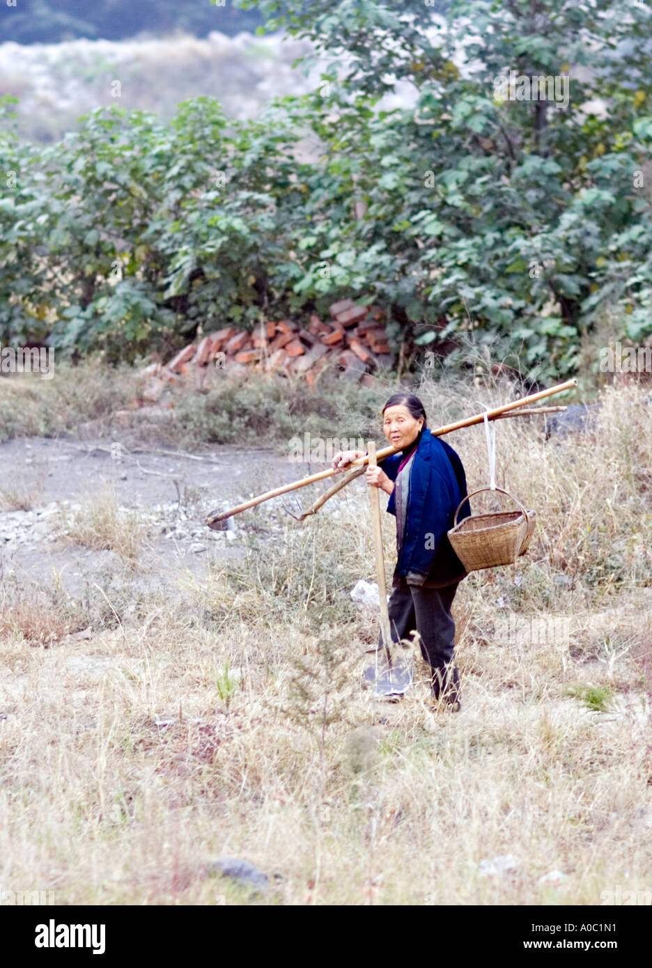CHINA SHANGHAI Chinese woman heads for work in her small garden plot