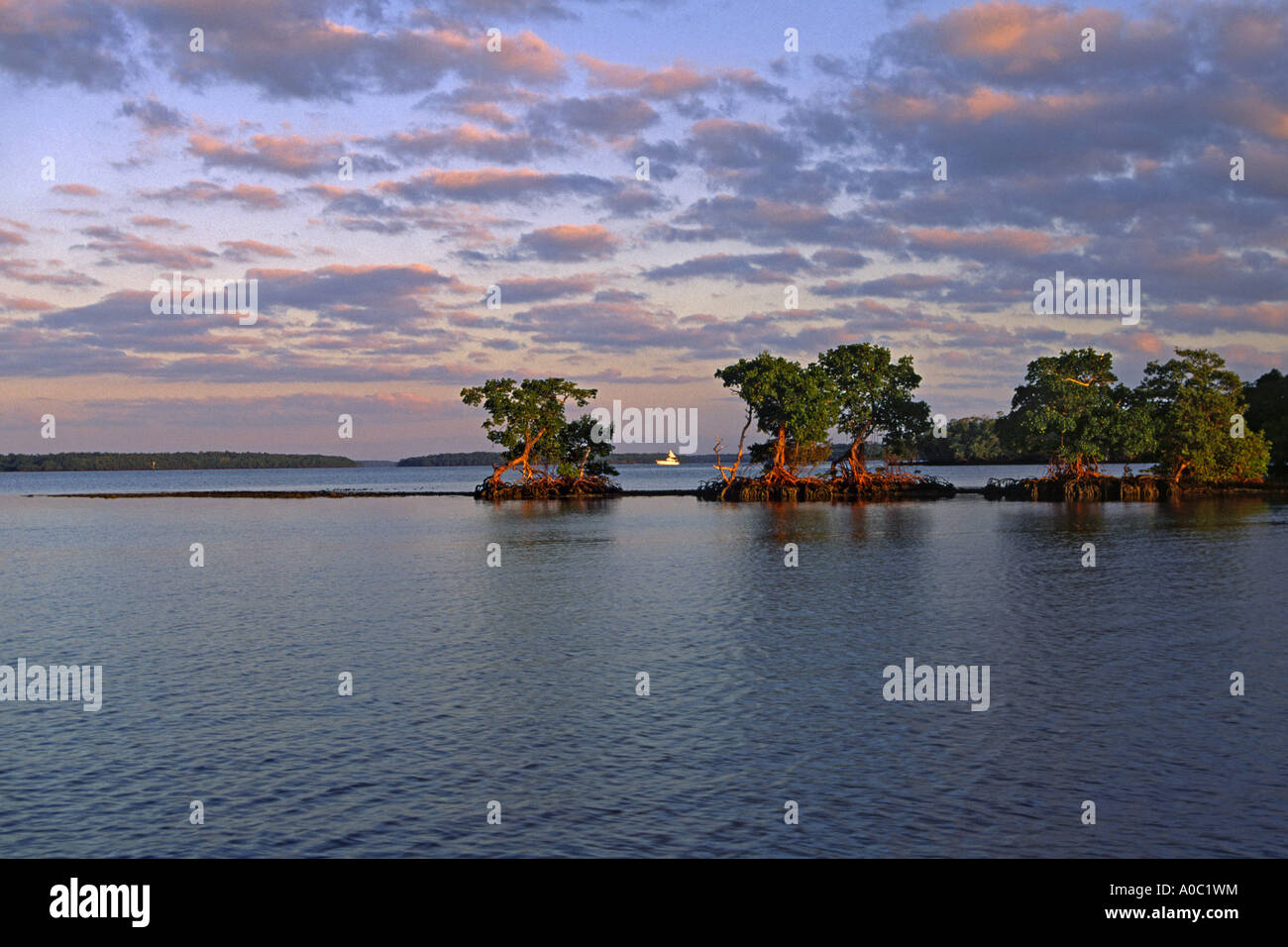 Kingston Key, Indian Key Pass at sunrise, Ten Thousand Islands area, Everglades Nat Park, Florida, USA Stock Photo