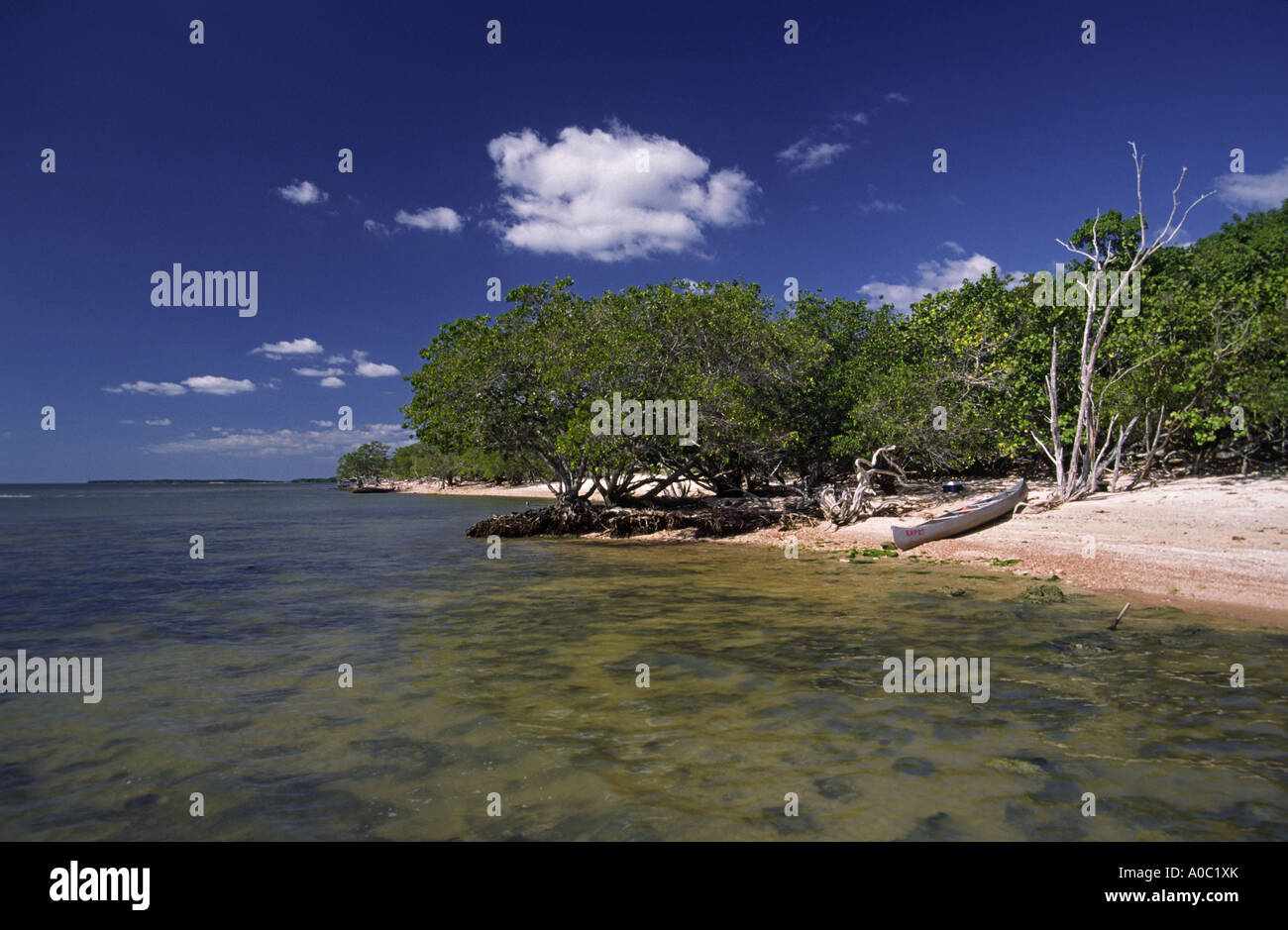 Beach at Jewel Key, Ten Thousand Islands area, Everglades Nat Park, Florida, USA Stock Photo