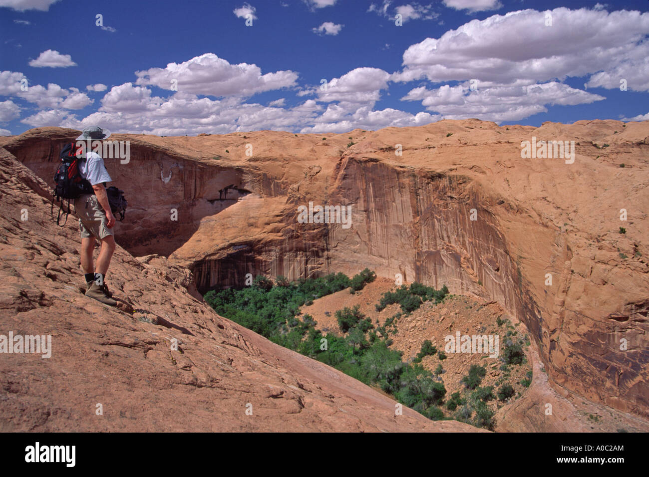 Hiker above Coyote Gulch, Fortymile Ridge, Hole in the Rock Road, Grand Staircase Escalante National Monument, Utah, USA Stock Photo