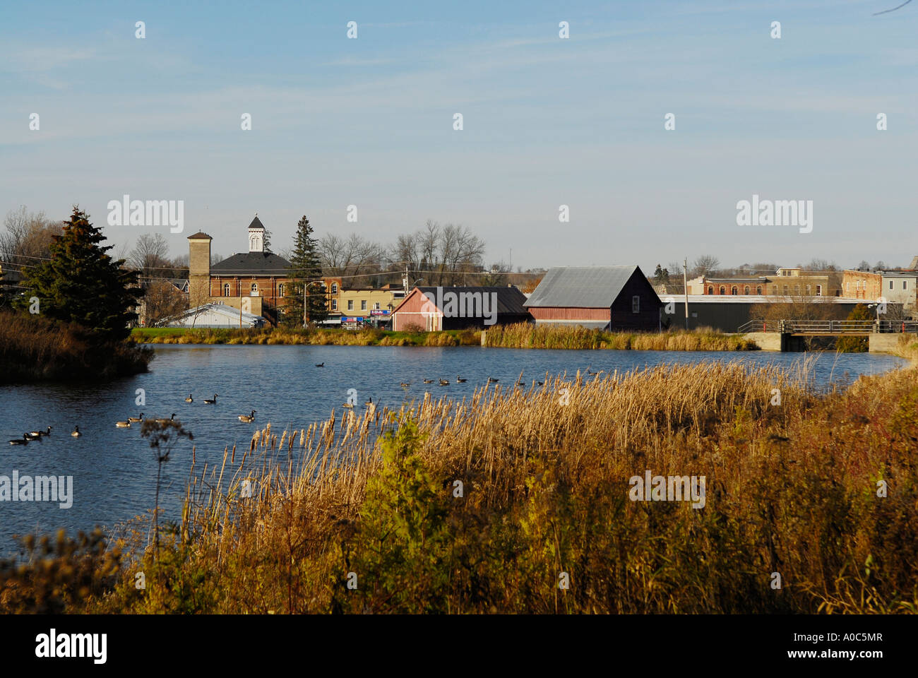 Stock image of Millbrook Ontario pond with waterfowl Stock Photo