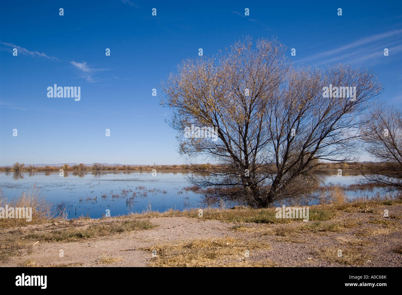 Birdwatching bosque del apache hi-res stock photography and images - Alamy