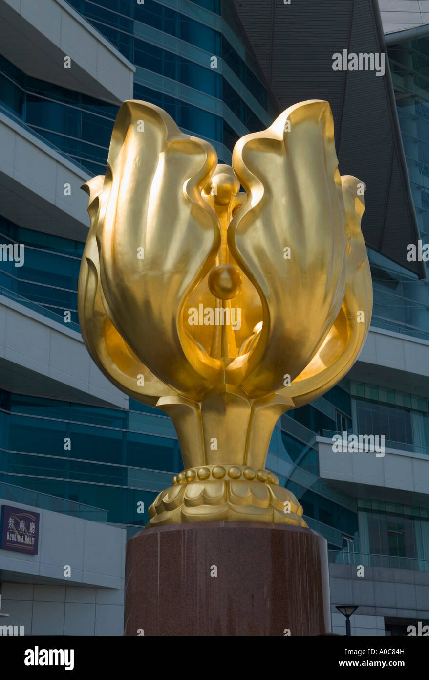 Symbol flower bauhinia hong kong hires stock photography and images