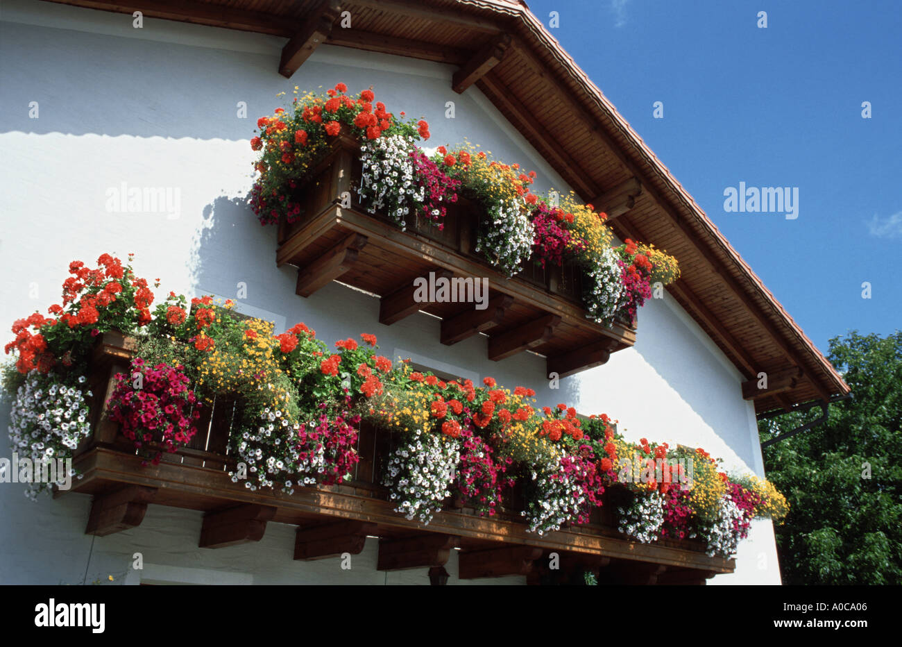 BAVARIA bavarian farm house with typical Balcony with flowers bavarian woods forest balkon ornament adornment bavarian country Stock Photo