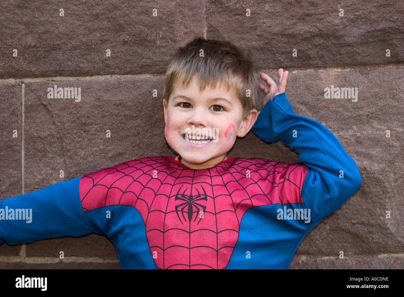 Little boy in a Spiderman costume Stock Photo Alamy