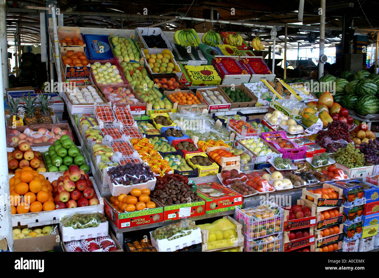 Fabulous fruit display in the fruit and vegetable market Dubai UAE