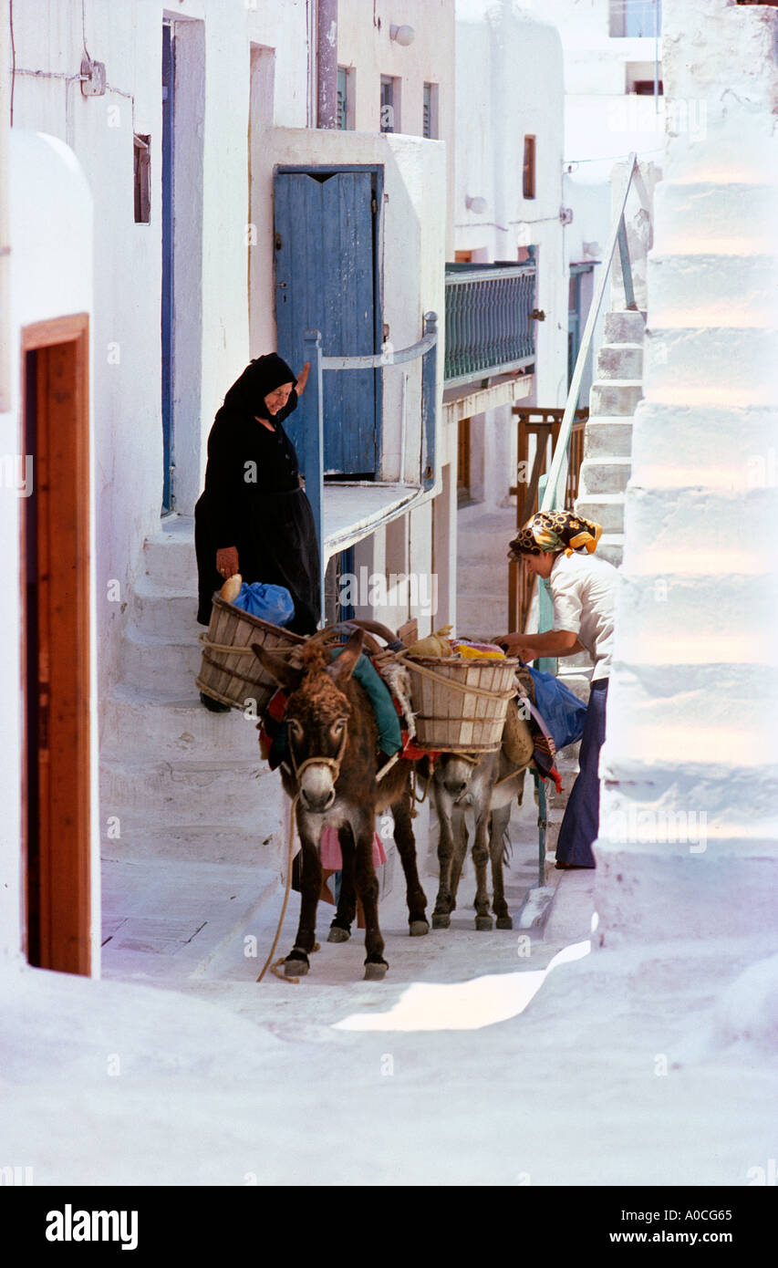 Mykonos Greece. Old lady and the donkey bring food and  bread from the Market Stock Photo