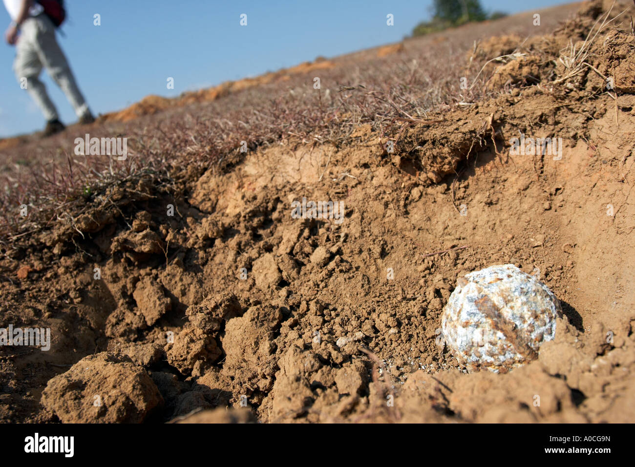 Cluster bomblet lies exposed in the field, Xieng Khoung province, Laos ...