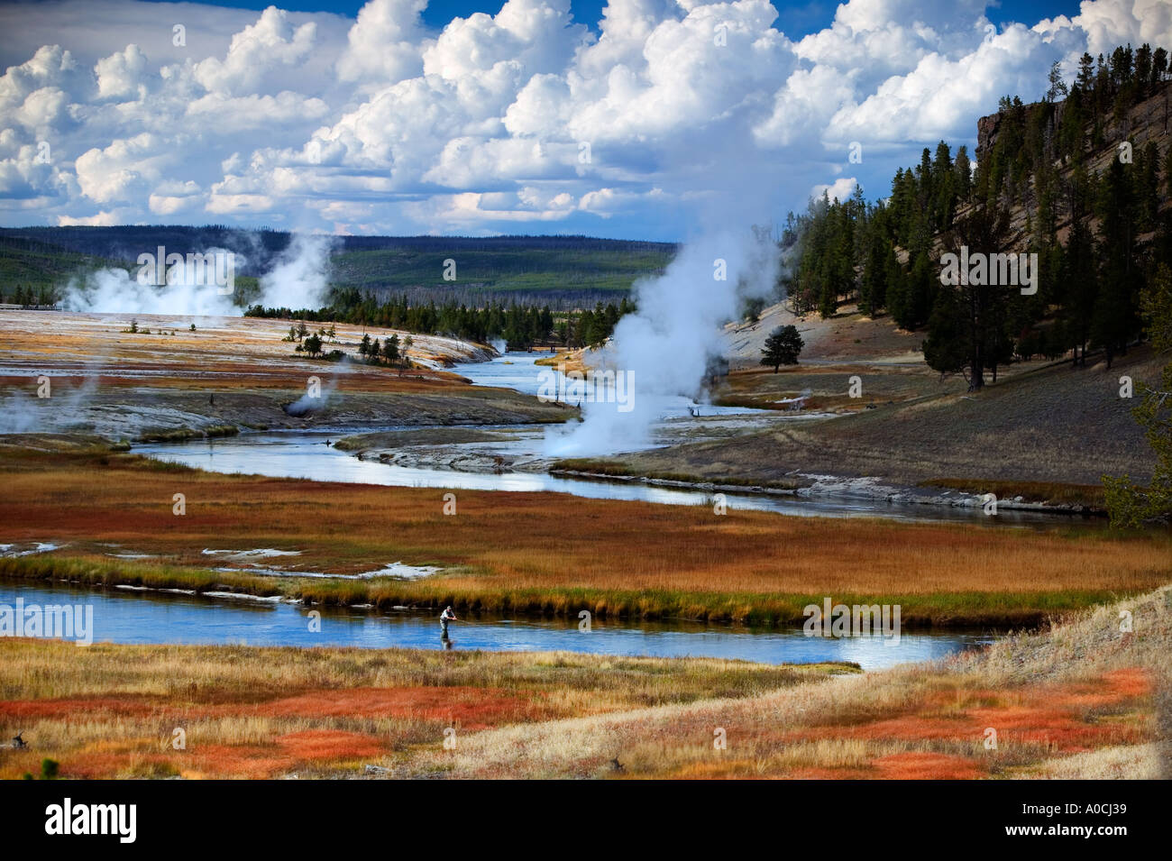 Fly fisherman on Firehole River with fall color Yellowstone National