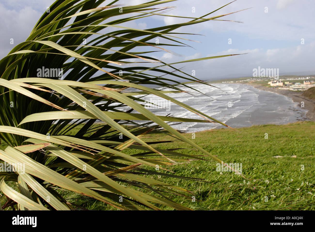 Gust of windy hi-res stock photography and images - Alamy