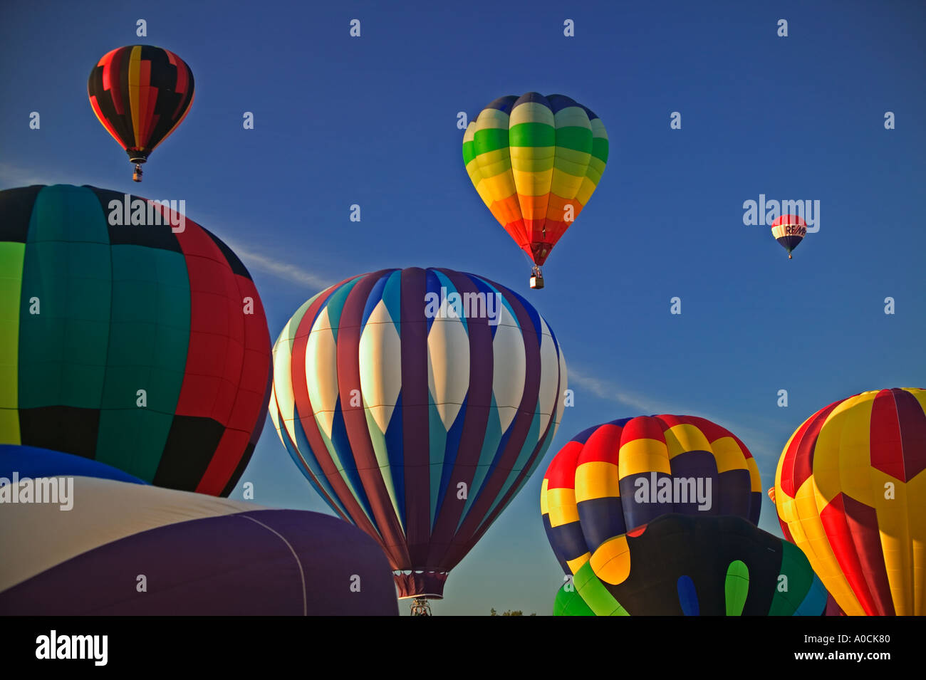 Balloons at Northwest Art and Air Festival Albany Oregon Stock Photo