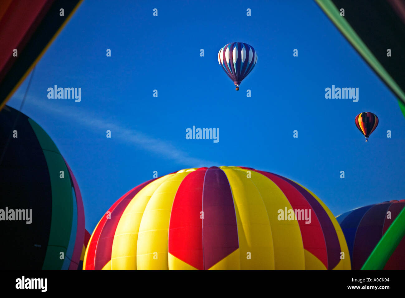 Balloons at Northwest Art and Air Festival Albany Oregon Stock Photo
