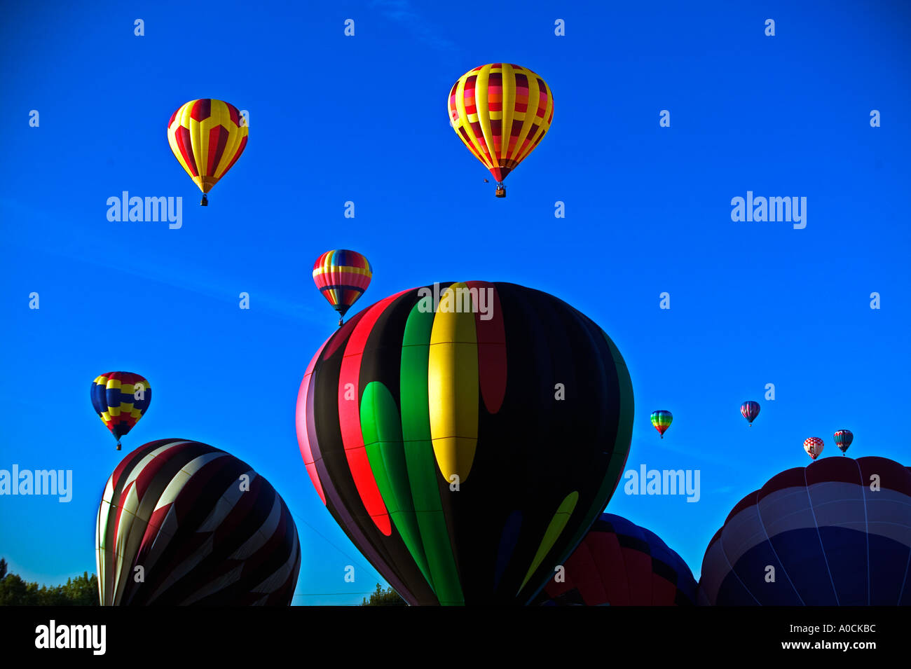 Balloons at Northwest Art and Air Festival Albany Oregon Stock Photo