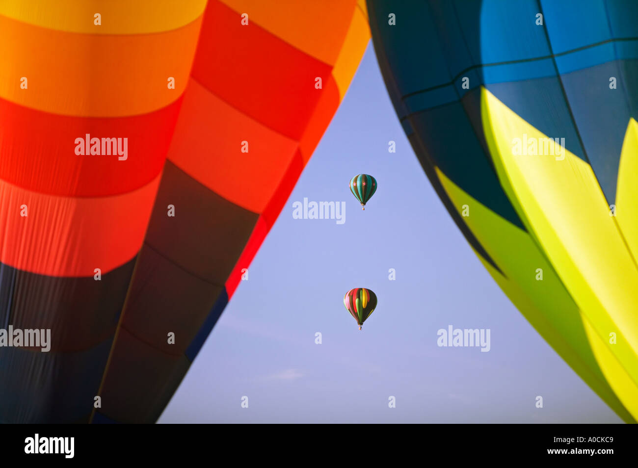 Balloons at Northwest Art and Air Festival Albany Oregon Stock Photo