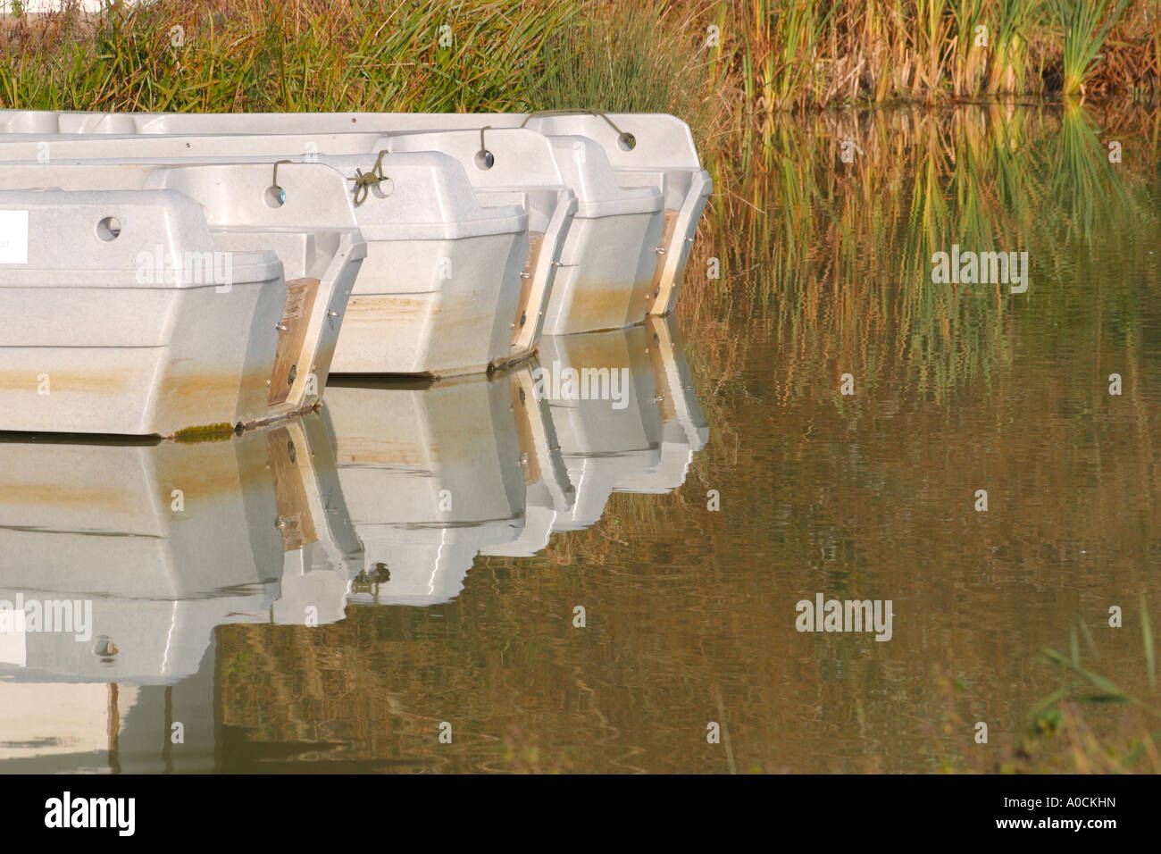 Electric boats used to take people to tour reed beds at Arundel WWT, Sussex, England. Stock Photo