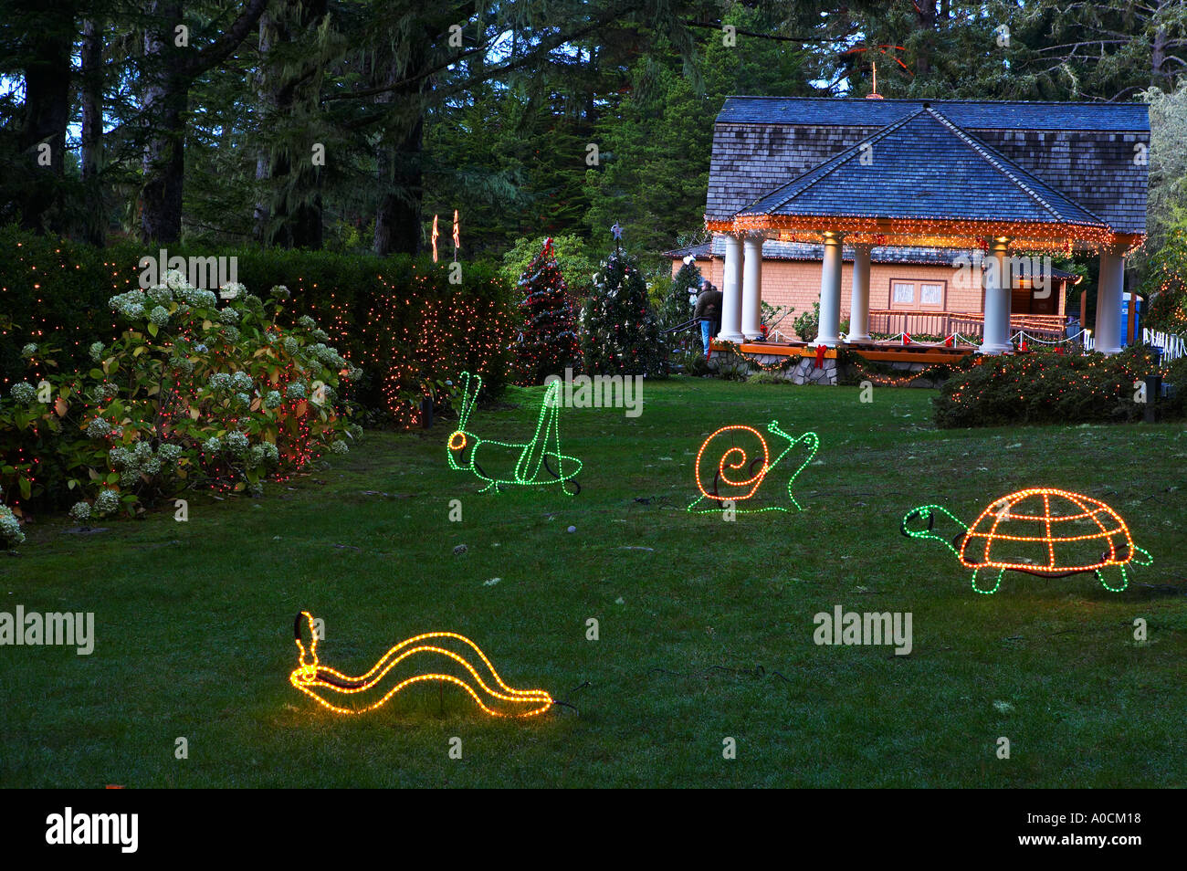 Christmas lights at Shore Acres State Park Oregon Stock Photo Alamy