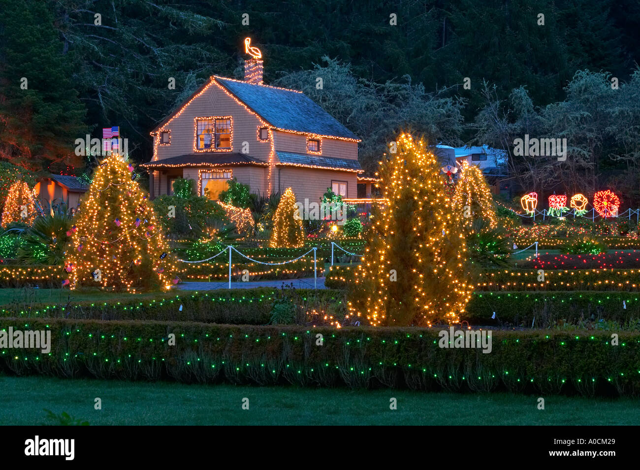 Christmas lights at Shore Acres State Park Oregon Stock Photo Alamy