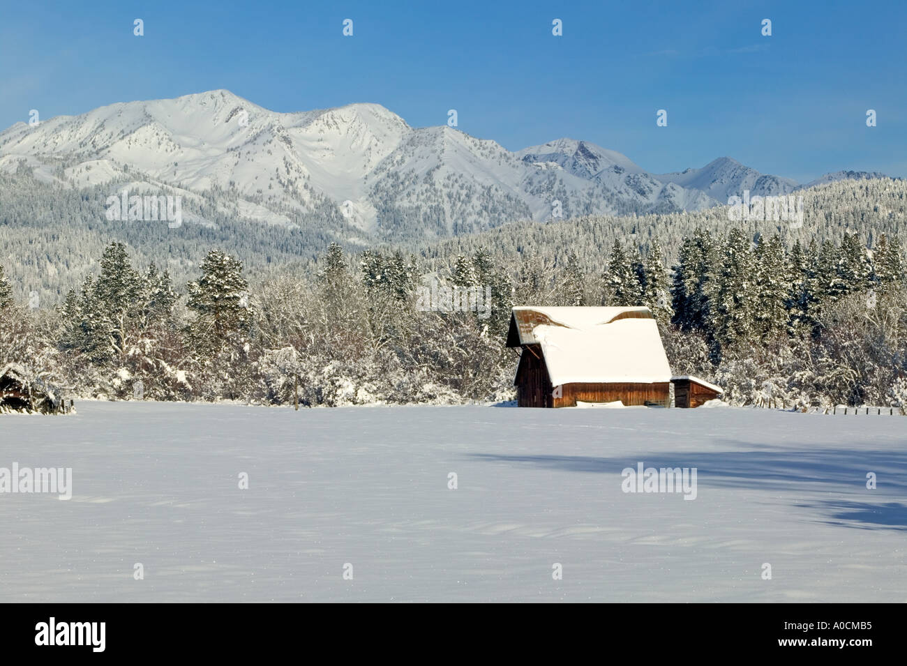 Barn and Wallowa Mountains Near Halfway Oregon Stock Photo Alamy