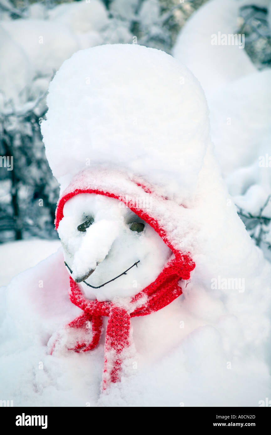 Snowman with fresh snow and red scarf Near Camp Sherman Oregon Stock Photo