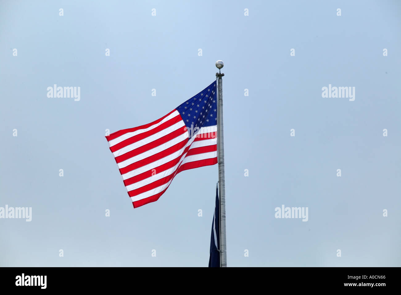 American flag in wind Stock Photo