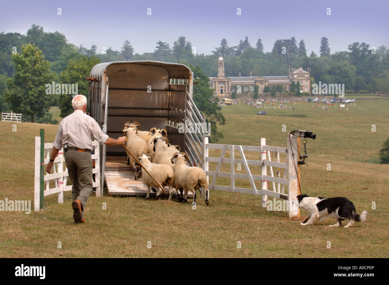 FILMING OF THE BBC S ONE MAN AND HIS DOG SHEEPDOG TRIALS AT BOWOOD HOUSE WILTSHIRE UK JULY 2006 Stock Photo