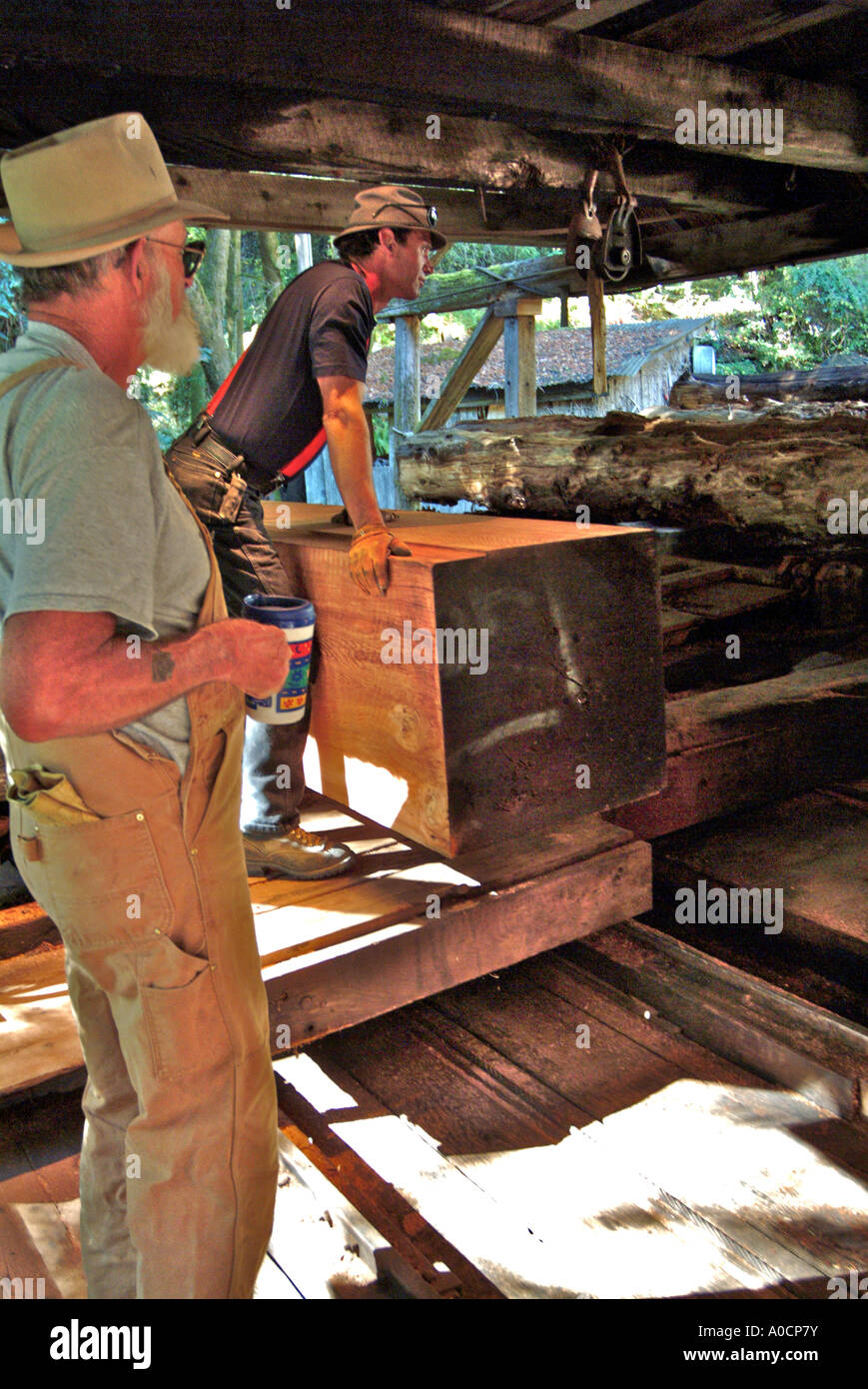 Two saw mill workers are preparing to cut a large redwood log that has
