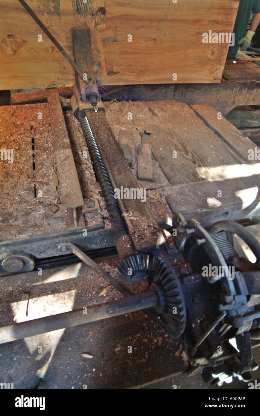 The worm drive mechanism that holds a trimmed redwood log in place as