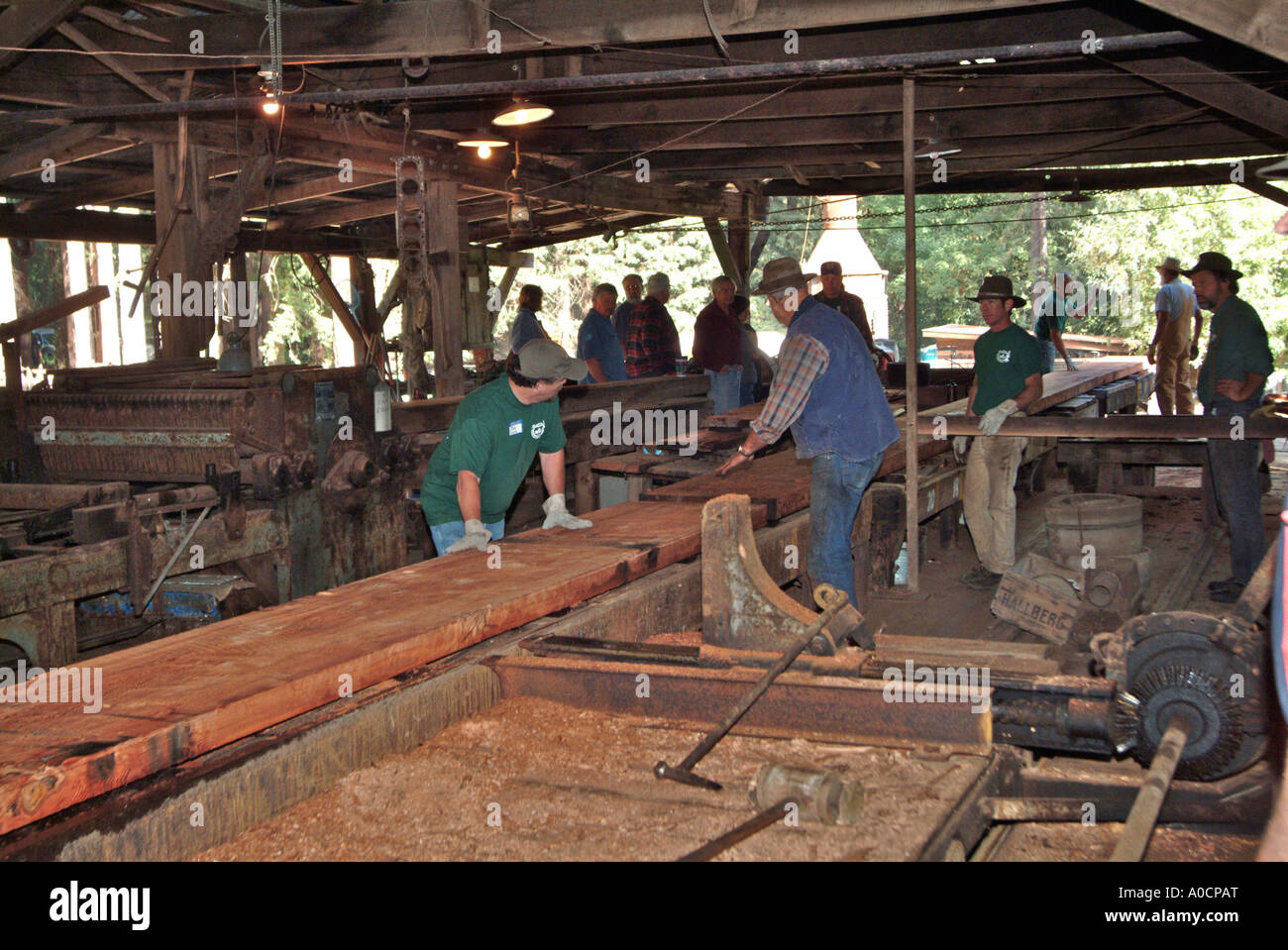 Saw mill workers are handlng the large cut redwood lumber as it comes out of the saw station at an antique saw mill in Occidenta Stock Photo