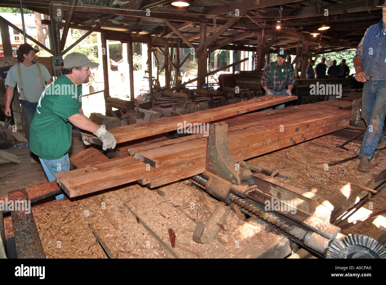 Saw mill workers are handlng the large cut redwood lumber as it comes out of the saw station at an antique saw mill, Occidental Stock Photo